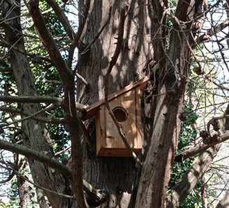 Nuove casette in legno per gli uccellini del Miralfiore