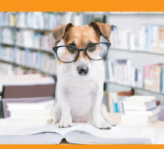 Cani da biblioteca si aggiudica il secondo posto e il finanziamento per aprire la biblioteca specializzata