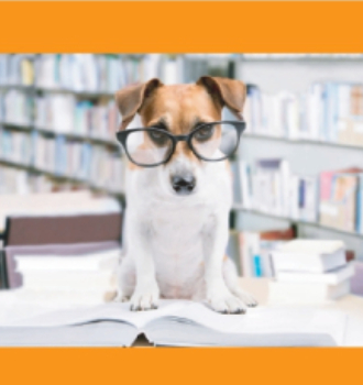 Cani da biblioteca si aggiudica il secondo posto e il finanziamento per aprire la biblioteca specializzata